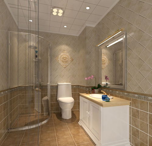 如何選購衛(wèi)生間瓷磚 衛(wèi)生間瓷磚選購注意事項